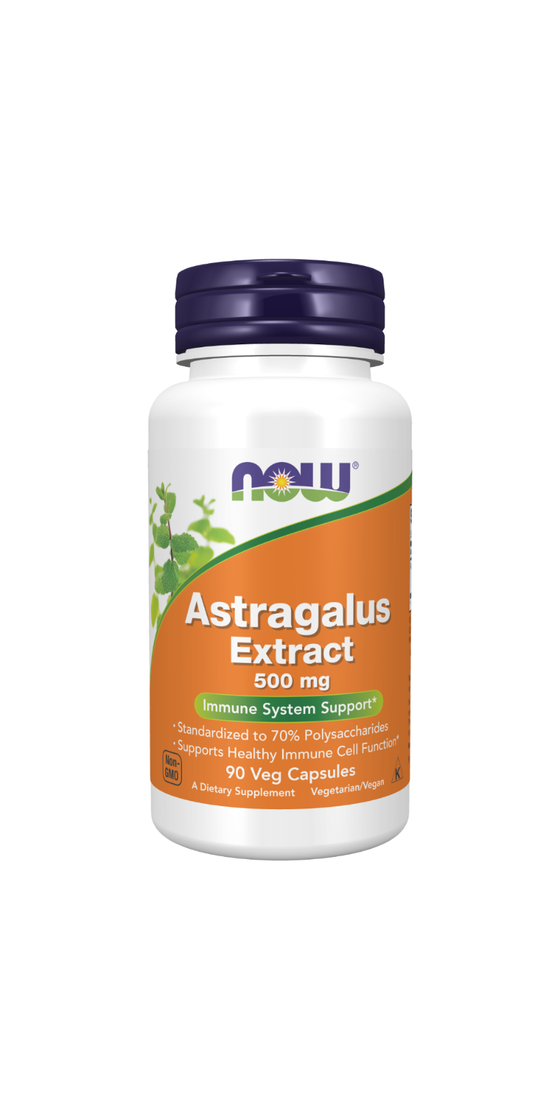Astragalus