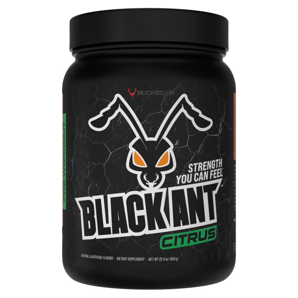 Black Ant