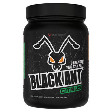 Black Ant