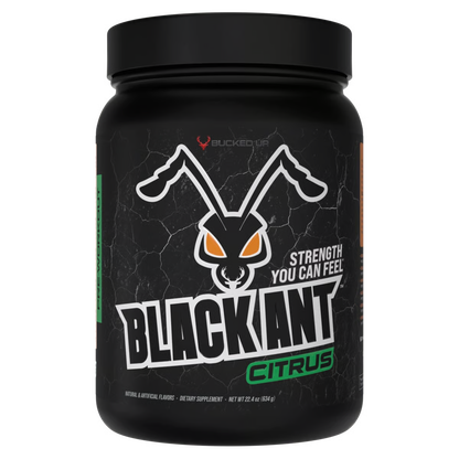 Black Ant
