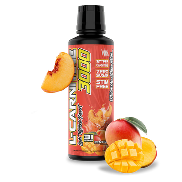 VMI L-Carnitine 3000